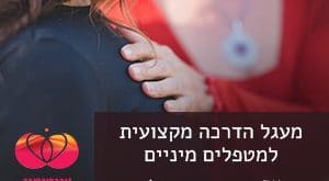 מעגל הדרכה למטפלים מיניים